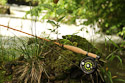 Small tream cane rod